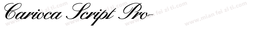 Carioca Script Pro字体转换